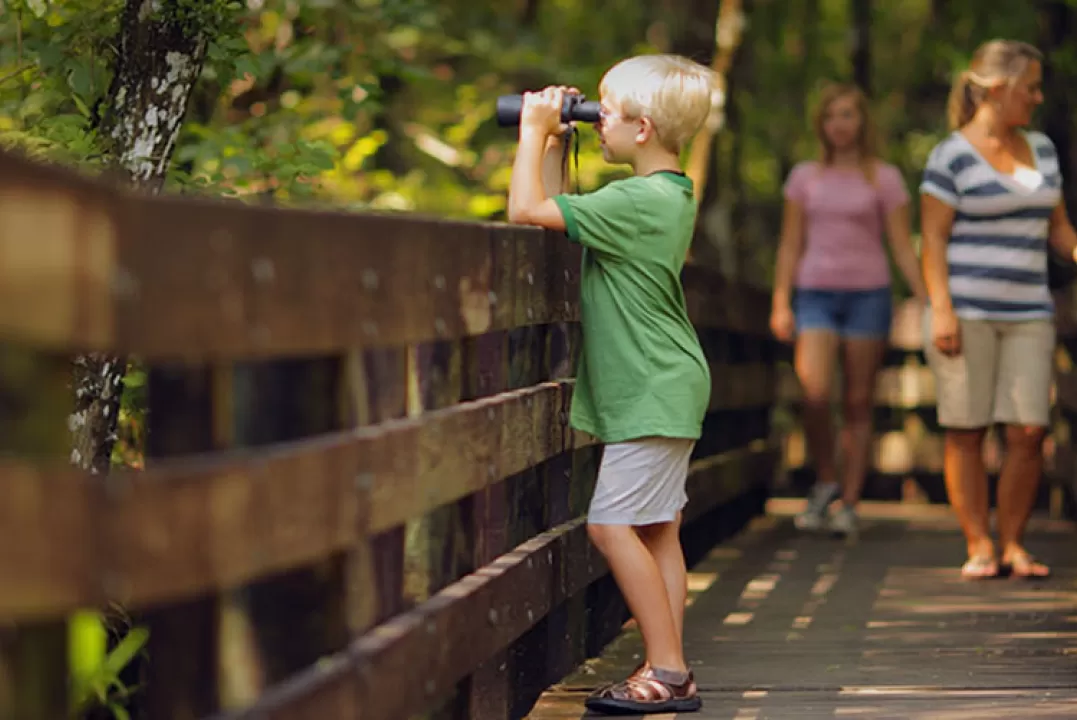 Child using binoculars on a boardwalk