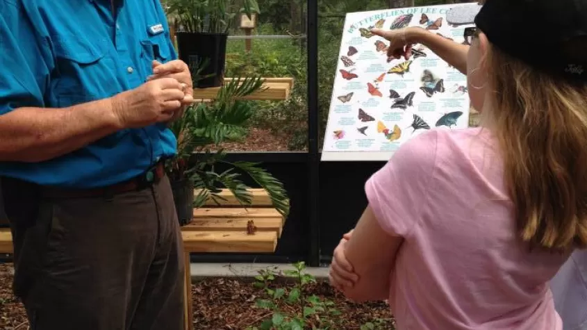 Learning about butterflies in the Butterfly Aviary at Calusa Nature Center