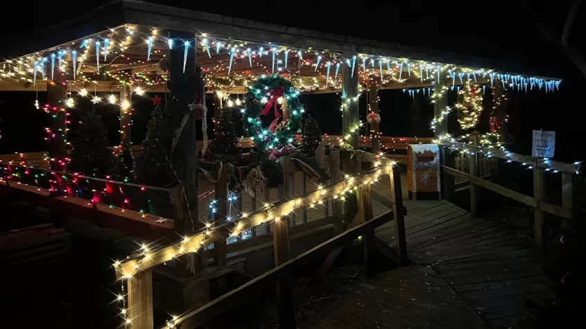Calusa Nature Center's Holiday Lights trail, pavilions and campfire: an annual winter treat!