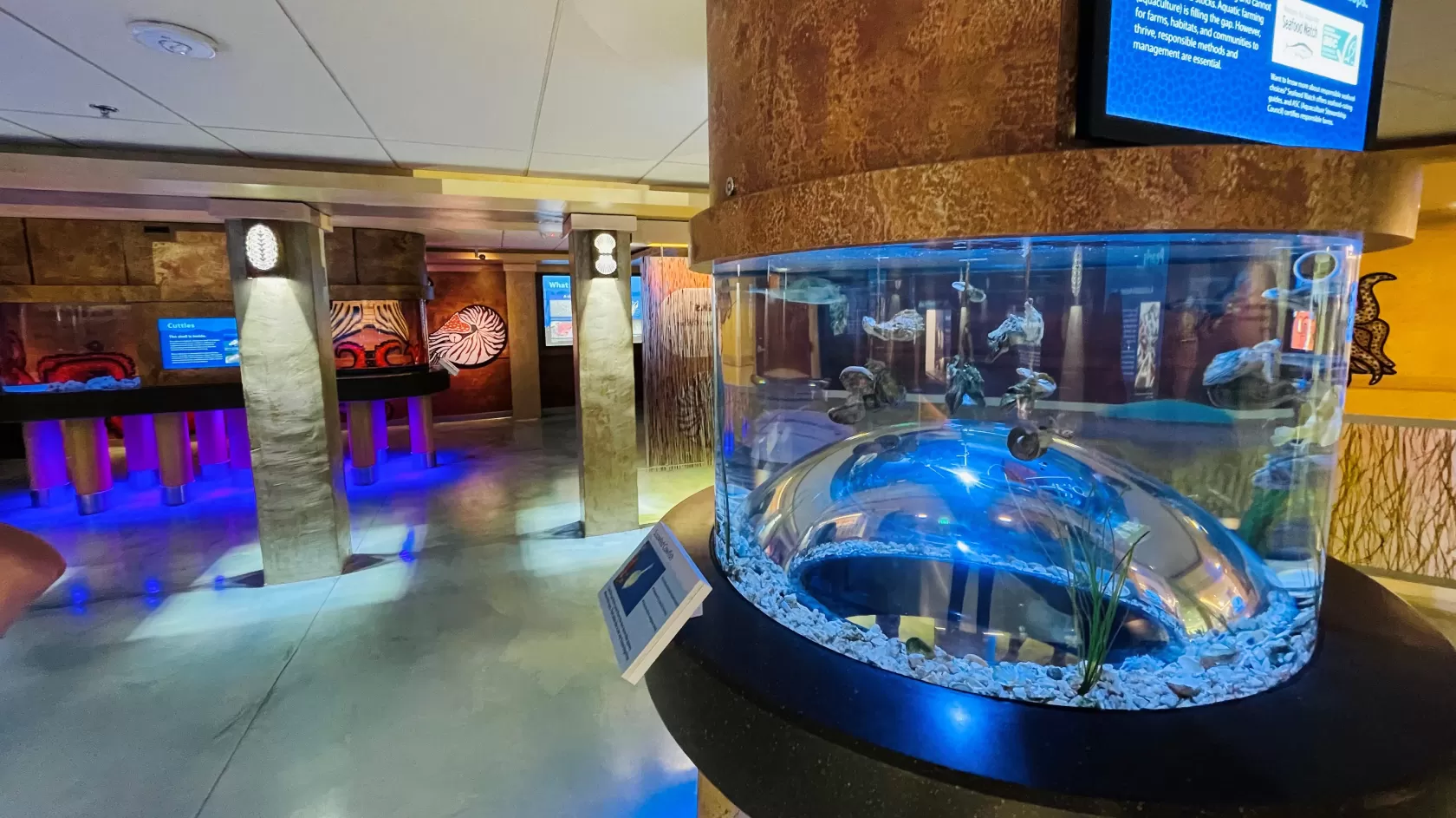 Shell Museum VCB Tour June 2021.jpg