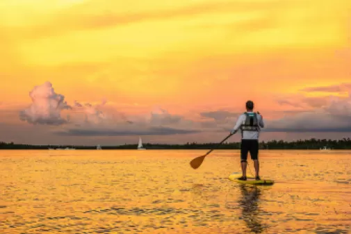 Magical discoveries await with our digital passes.