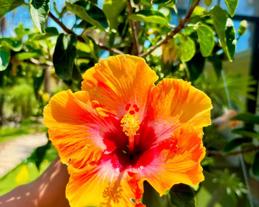A destination moment captured in Sanibel Island.