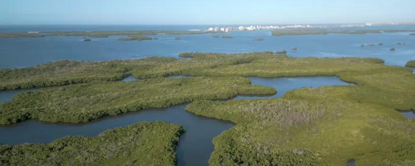 Estero Bay Preserve State Park