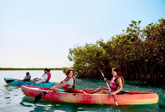 A group of people riding kayaks