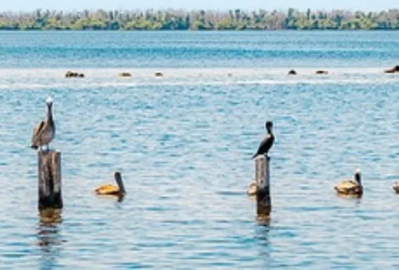 New User-Friendly Parking