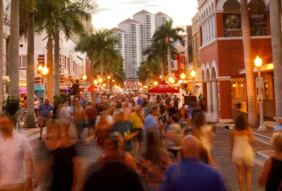 What to Do E-newsletter