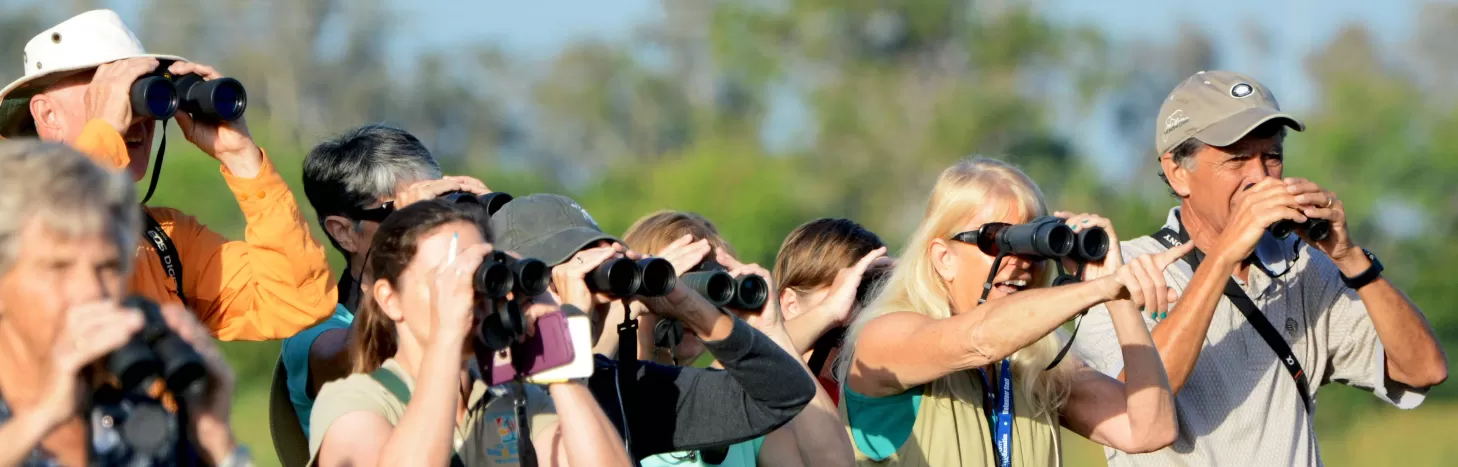 Birdwatching