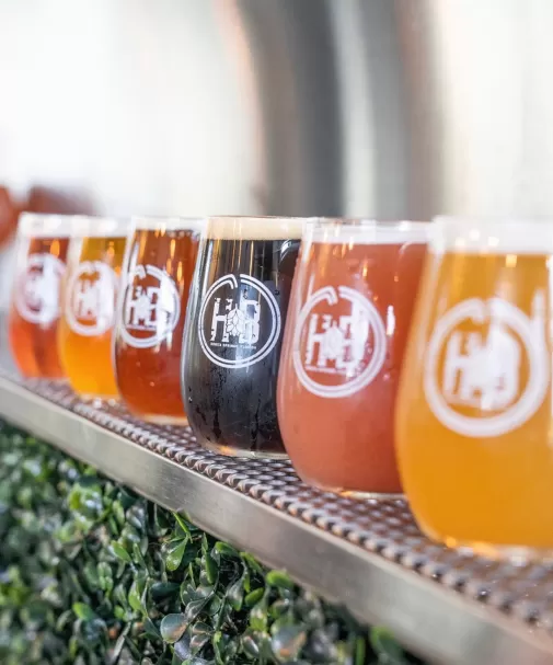 hopsized brewery glasses lined up in a row