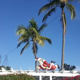 Santa posts on top of a building under 2 palm trees