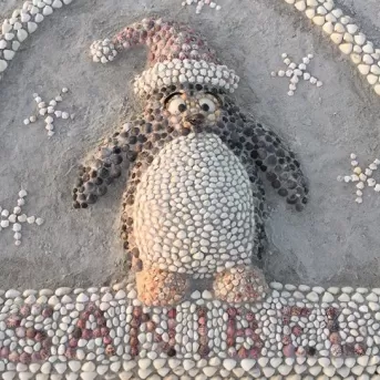 A person made a penguin out of seashells on Sanibel Island