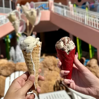 Ice Cream Dessert Pink Shell Resort