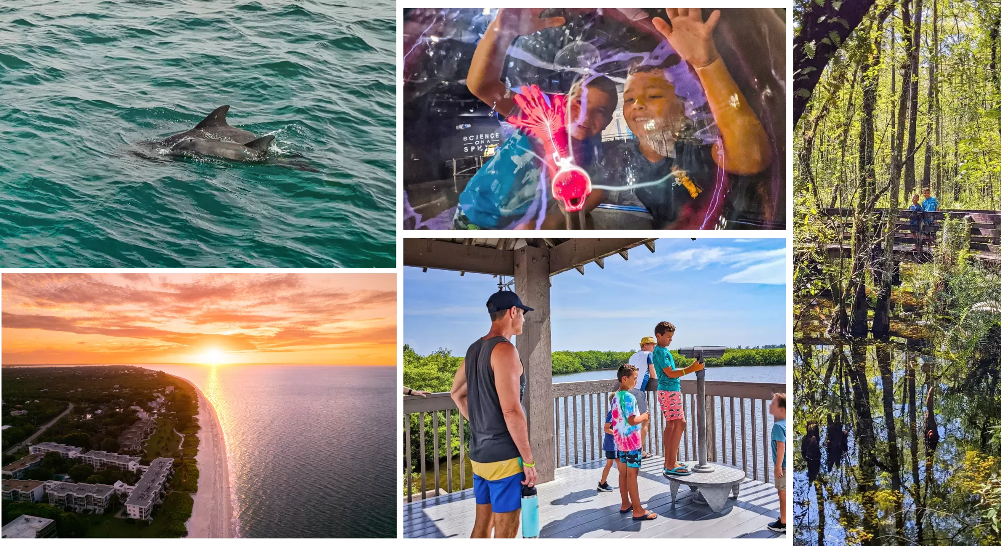 A collage of photos taken by good day social influencers 